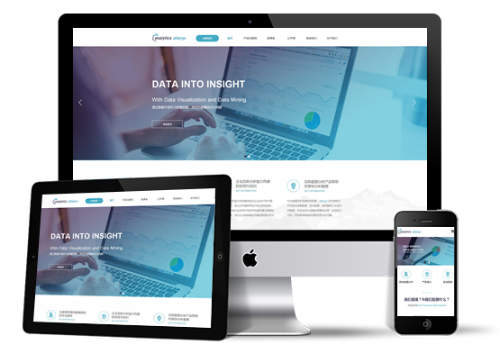 H5網(wǎng)站開發(fā)